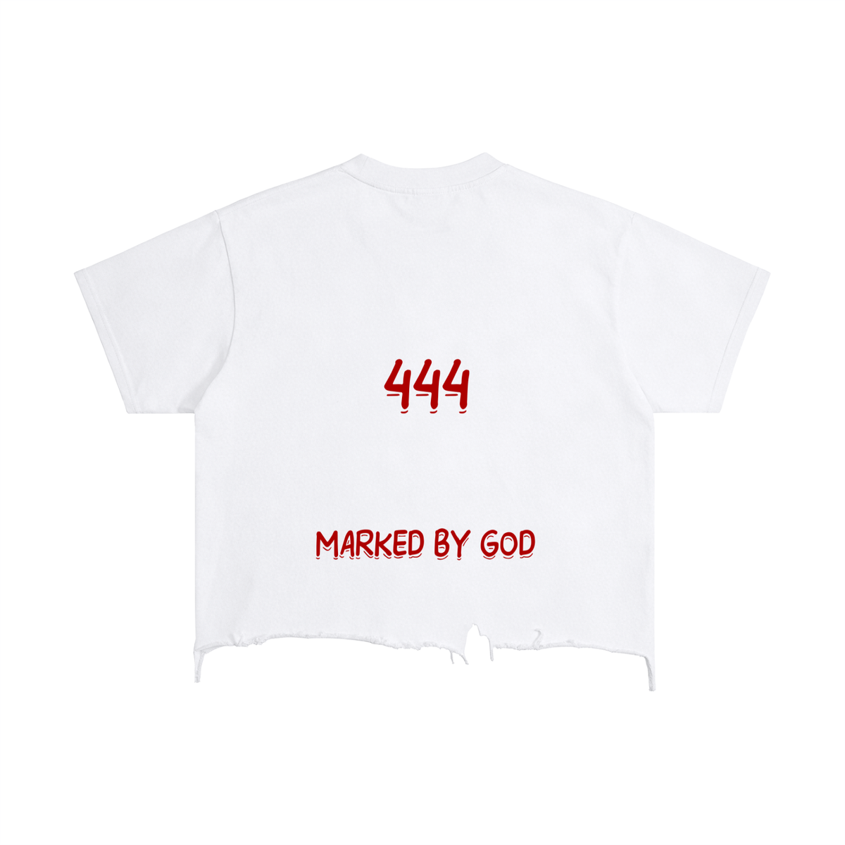 Vintage Wash Boxy Distressed 444 ChosenStarseed T-Shirt