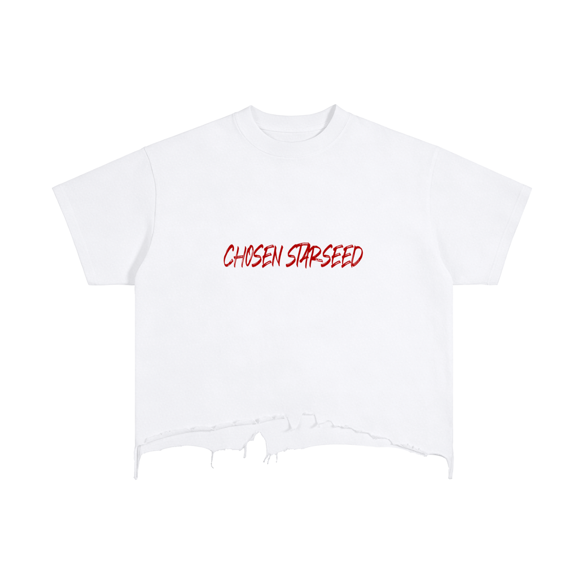 Vintage Wash Boxy Distressed 444 ChosenStarseed T-Shirt